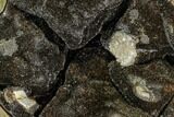 Septarian Dragon Egg Geode - Black Crystals #109973-1